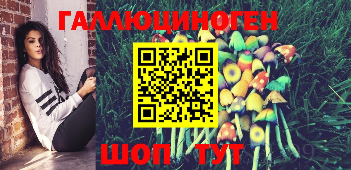 Псилоцибиновые грибы GOLDEN TEACHER Обь